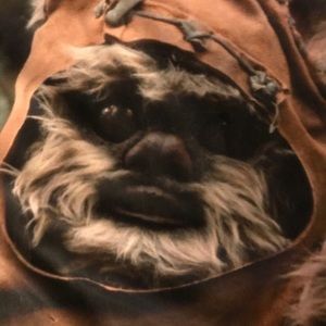 Ewok dress BlackMilk Xs